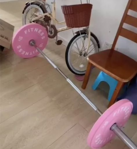 工作室倒闭，全新100kg马卡龙彩色杠铃大...