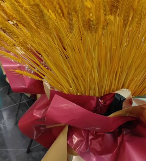 上海市奉贤区，26个左右的大麦花篮出售 感...