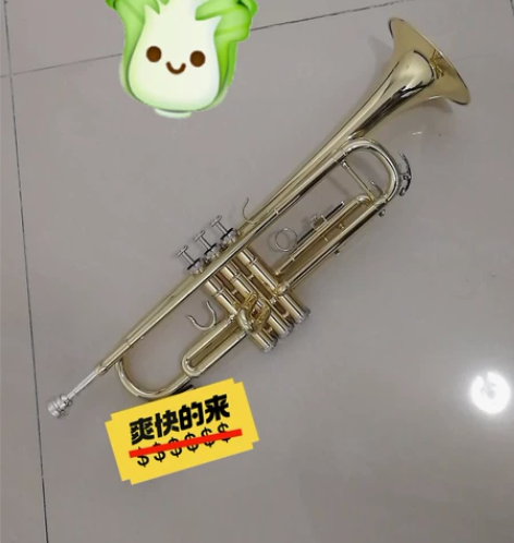 4000多入手的雅马哈小号乐器YTR-83...