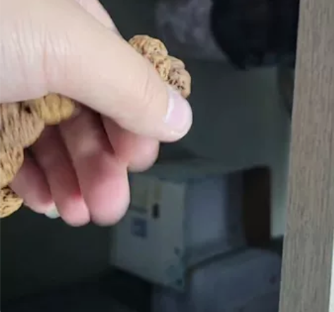 【编号2023-018】尼泊尔原生态金刚菩...