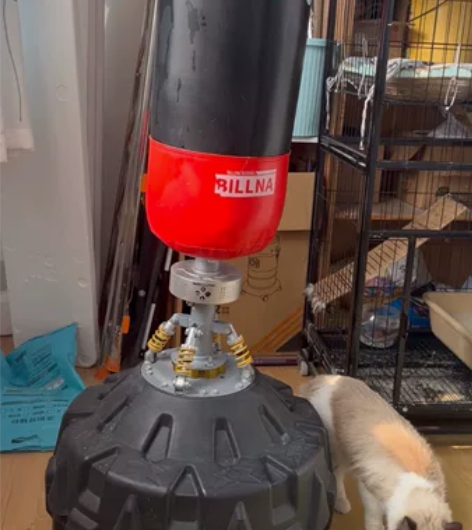 拳击沙袋 散打 一米八高, 带蓝牙 本来买...