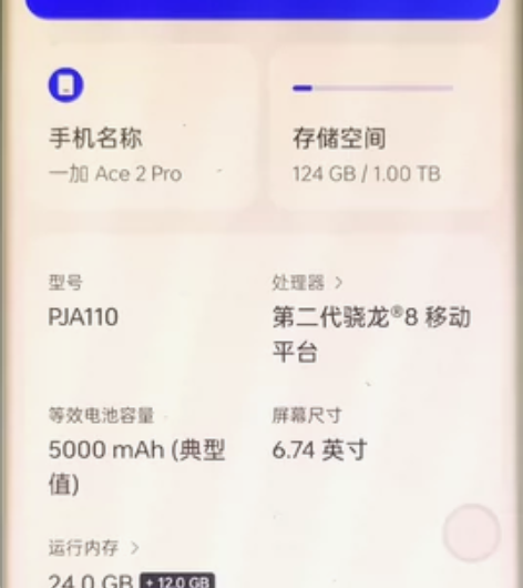 一加 ACE2 Pro  极光绿   24...