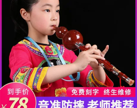 子乐葫芦丝初学者c调降b调成人小学生入门专...