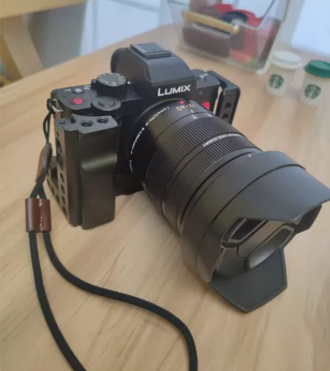 松下G100 +莱卡1260二代镜头，带兔...