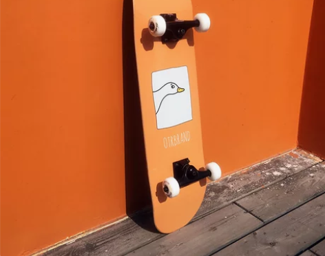 ?专业成人双翘板青少年男女生儿童初学者滑板...