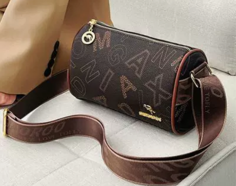 高级感包包女新款百搭洋气小众枕头包时尚波士...