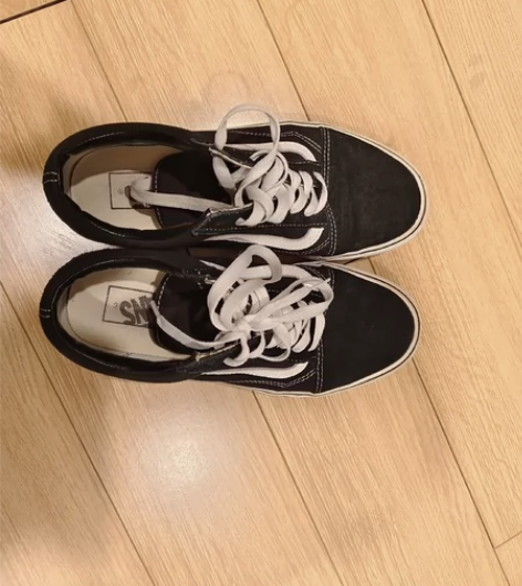 vans经典款鞋，39码，内长250。商场...