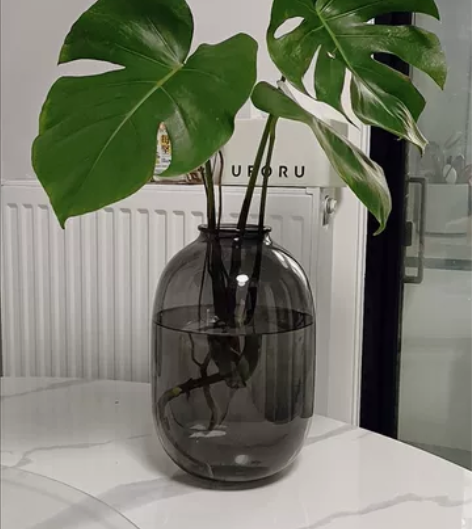 【全新包邮】最后8个大号的玻璃花瓶透明花瓶...