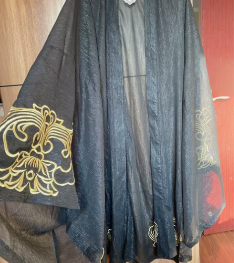 七月记 汉服 大袖衫 全新 没有穿过 吊牌...