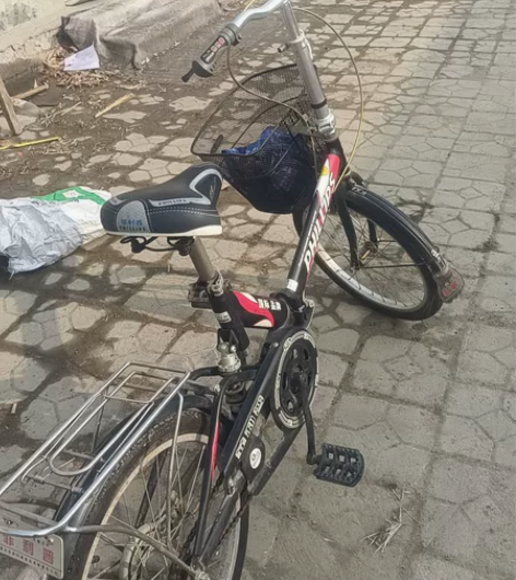 八九成新折叠自行车 品牌 菲利普 有需要者...