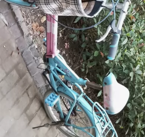检漏闲置卡贝琦成人折叠自行车一辆，车况完好...