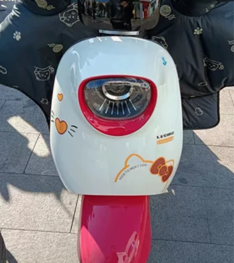 工作调动，电动车带不了了，跑四五十公里里没...