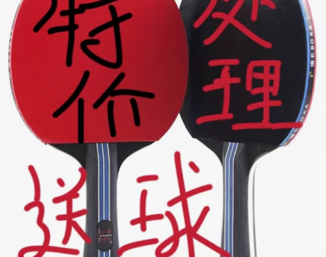 乒乓球拍2只初学者儿童小学生成人横拍直拍球...