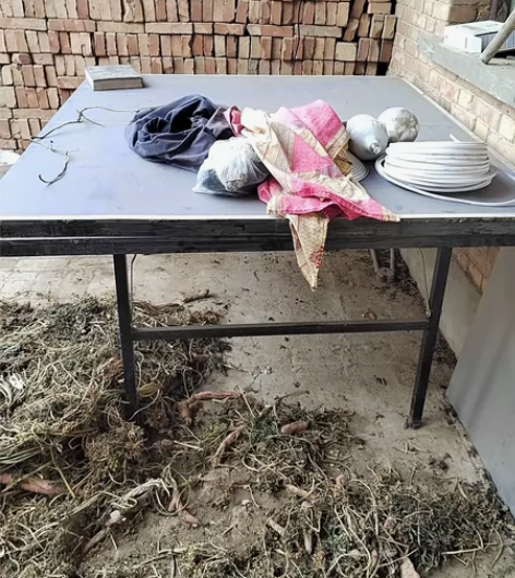 乒乓球台，250 出，自提 感兴趣的话点“...