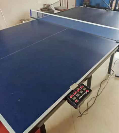 搬家了带不走，室内家用可折叠式乒乓球桌标准...