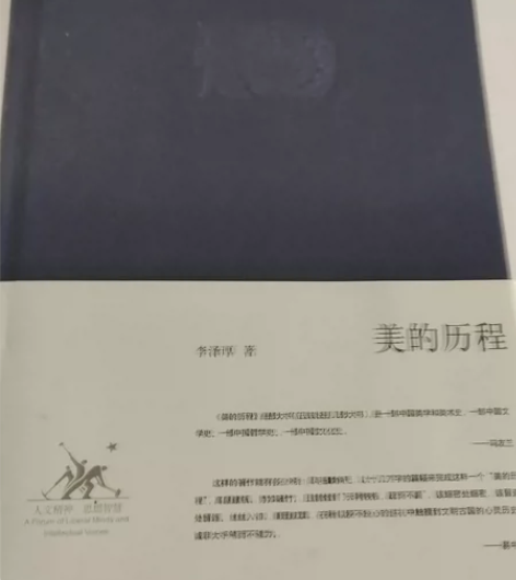 美的历程 李泽厚著 影视\电影\戏文类考研相关图书 几乎全新...