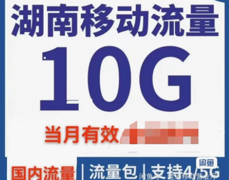 湖南移动 移动流量 10个G 5个G湖南通...