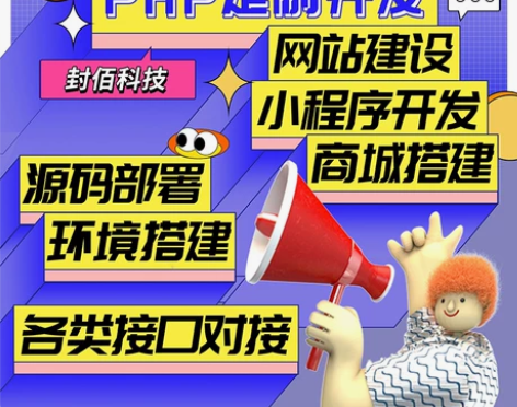 软件php二次开发源码bug修改网页api...