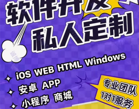 软件定制开发，PHP开发，项目二次开发，电...