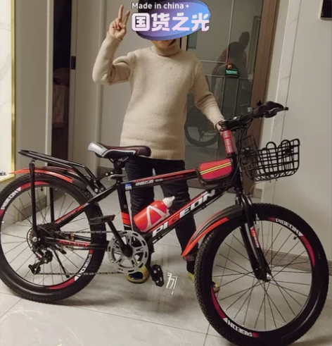 (处理30辆)全新飞鸽自行车儿童山地车儿童...