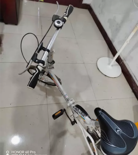 飞鸽儿童折叠自行车，新的没骑过，用积分换的...