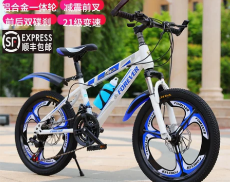 永久儿童自行车山地车小学生男孩女孩变速单车...