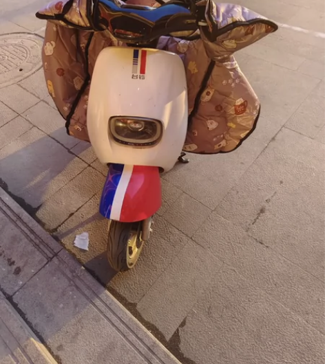 台铃电动车60v，电池不行了，能跑10公里...