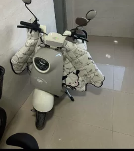 台铃电动车 v1plus2.0 9月中买的...