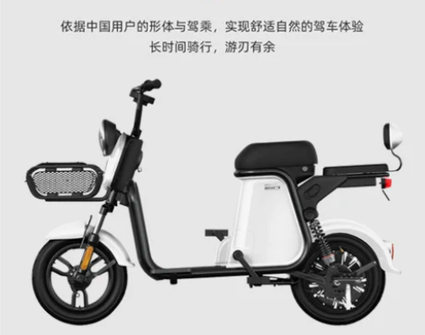 新日电动车小型车C2新国标电动自行车双人成...