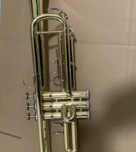 LANYAN小号乐器降b调 初学者的首选黄...