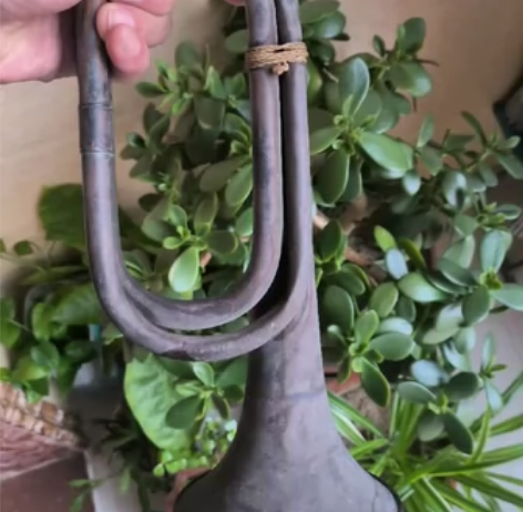 老冲锋号，永远忠于毛主席款，无磕裂，品如图...