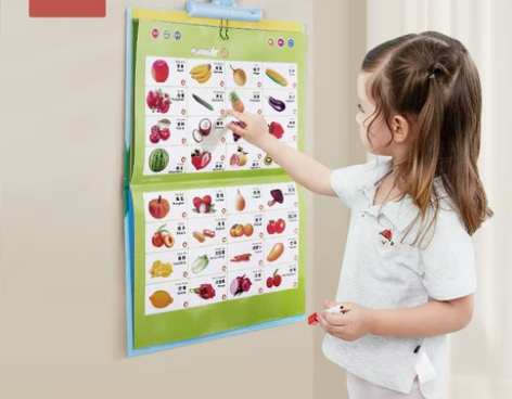 【狂欢价】澳乐宝宝早教有声挂图拼音学习神器...