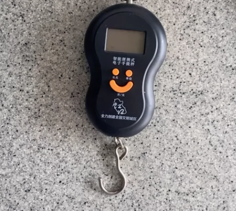 智能便携式电子手提秤 江浙沪包邮 感兴趣的...