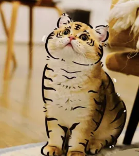 照猫画虎  给小猫咪画小老虎宠物画老虎 小...