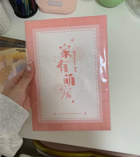 恋与制作人家有萌宠系列色纸李泽言款 全新未...