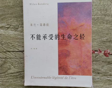 不能承受的生命之轻 米兰·昆德拉 上海译文...