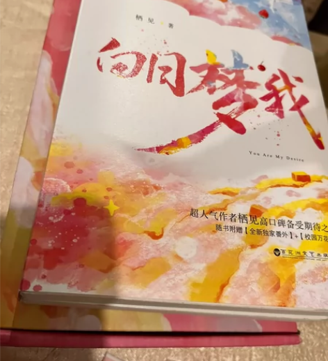 出闲置书畅销·青春文学书籍《白日梦我》带盒...