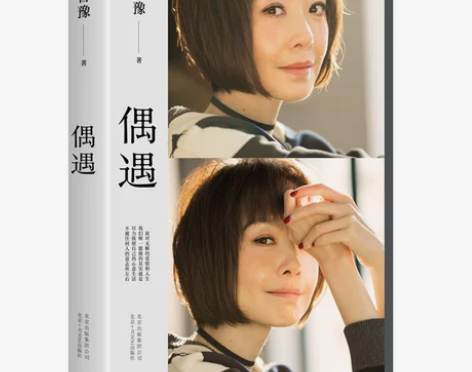 现货正版包邮 偶遇 陈鲁豫的新书 文学散文...