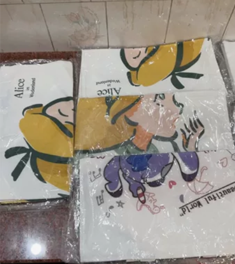 便当袋库洛米大耳狗帆布数码印花逛街手提袋收...