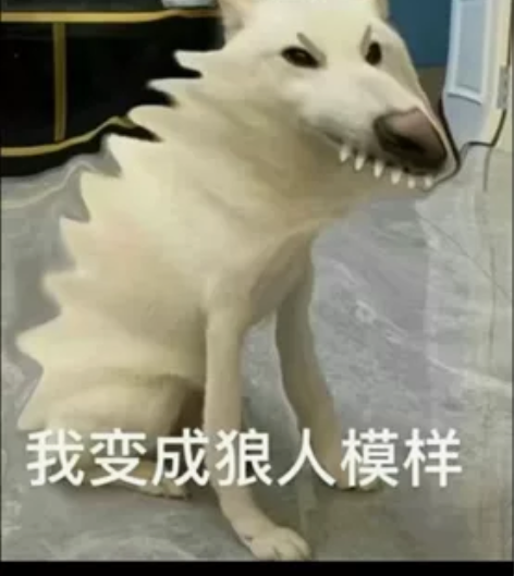 三条牛仔裤 一条短裤，两条长裤盲盒款165...