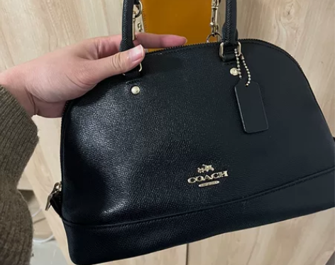 Coach小号贝壳包,18年购入,有使用痕...