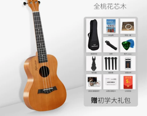 wellburn尤克里里女初学者学生成人男...