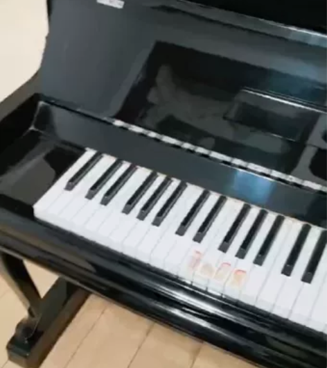 珠江钢琴，配升降琴凳，无刮痕，声音清晰，原...