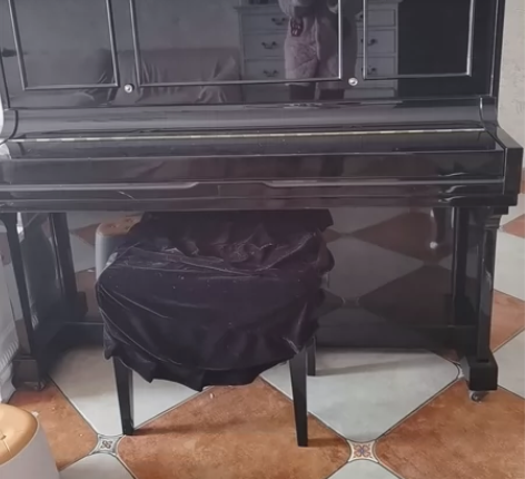 珠江钢琴，小孩学琴没兴趣，限上门自提 感兴...