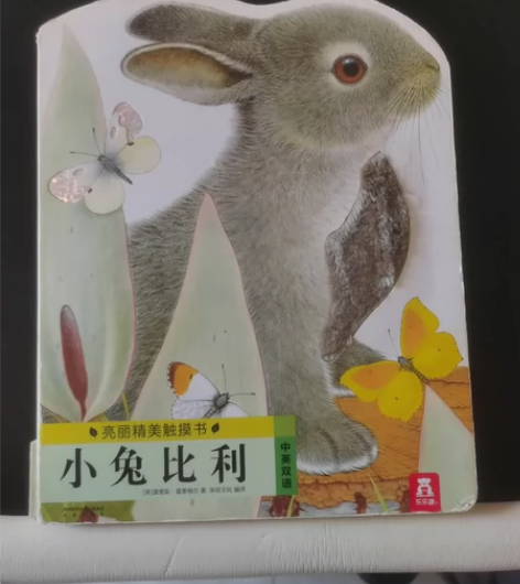 小兔比利，亮丽精美触摸书。小兔比利(中英双...