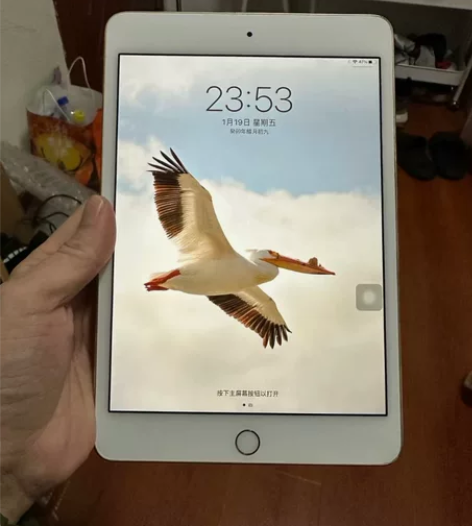 学生自用ipad mini4 128G,边...