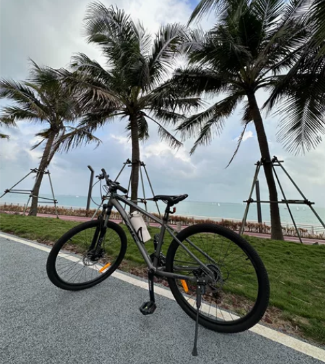 喜德盛黑客380山地自行车，15.5寸，海...