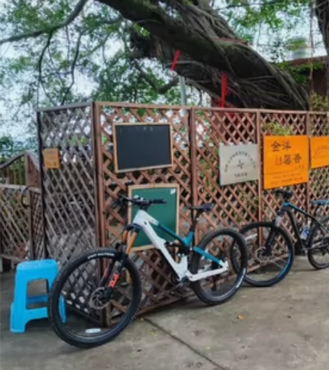 JAVA佳沃碳纤维软尾山地车SALTAFO...