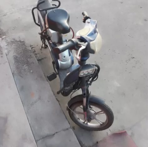飞鸽电瓶车闲置,电瓶放的时间太常不能用了,...
