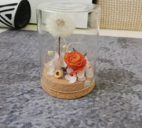 《蒲公英的约定》永生花(包邮!!!) 蒲公...